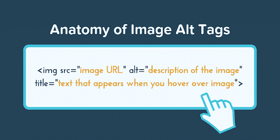 Optimize your images with descriptive alt tags