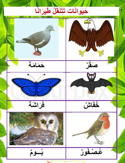 الحيوانات التي تتنقل طيران