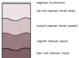 Jenis Tanah Berdasarkan Proses Pembentukan dan Tingkat Kesuburan Tanah di Indonesia