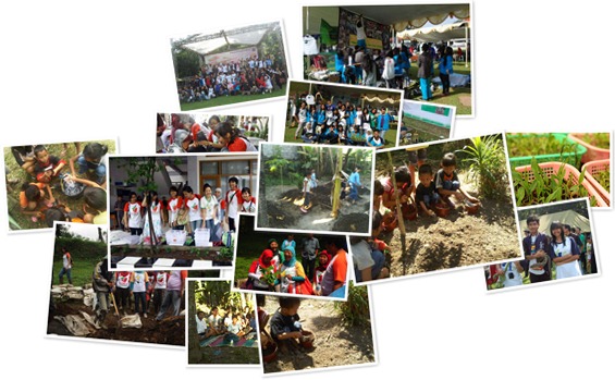 View album