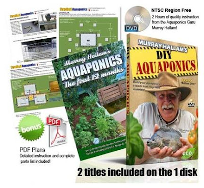 3x5 Aquaponics: DIY Aquaponics - Review