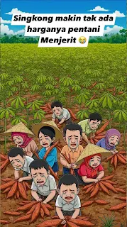 Produksi Melimpah tapi Nilai Jual Rendah, Petani Singkong Terpuruk