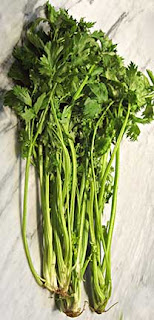 Leaf Celery