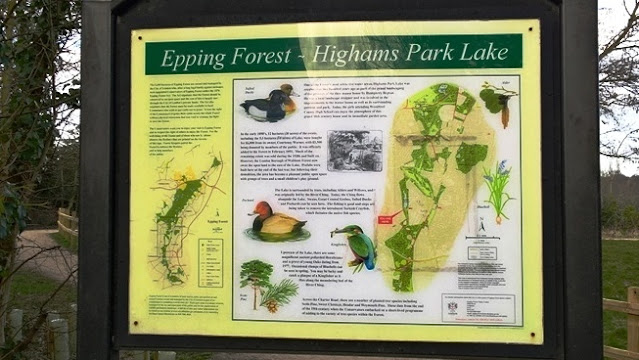 Info on Highams Park Lake