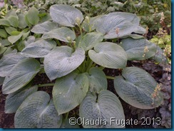 P5310057