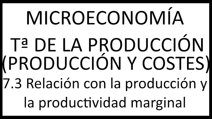 7.3 Relación con la producción y la productividad marginal