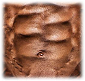 Body Building Six Pack Transparent Png, Rectus Abdominis Muscle