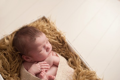 Miles Newborn Session 19