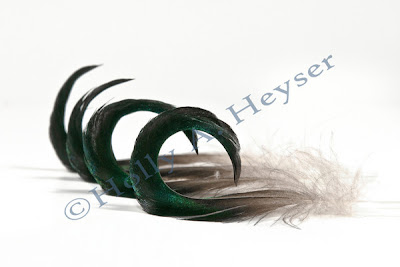 Holly Heyser, SmugMug, Mallard duck feathers