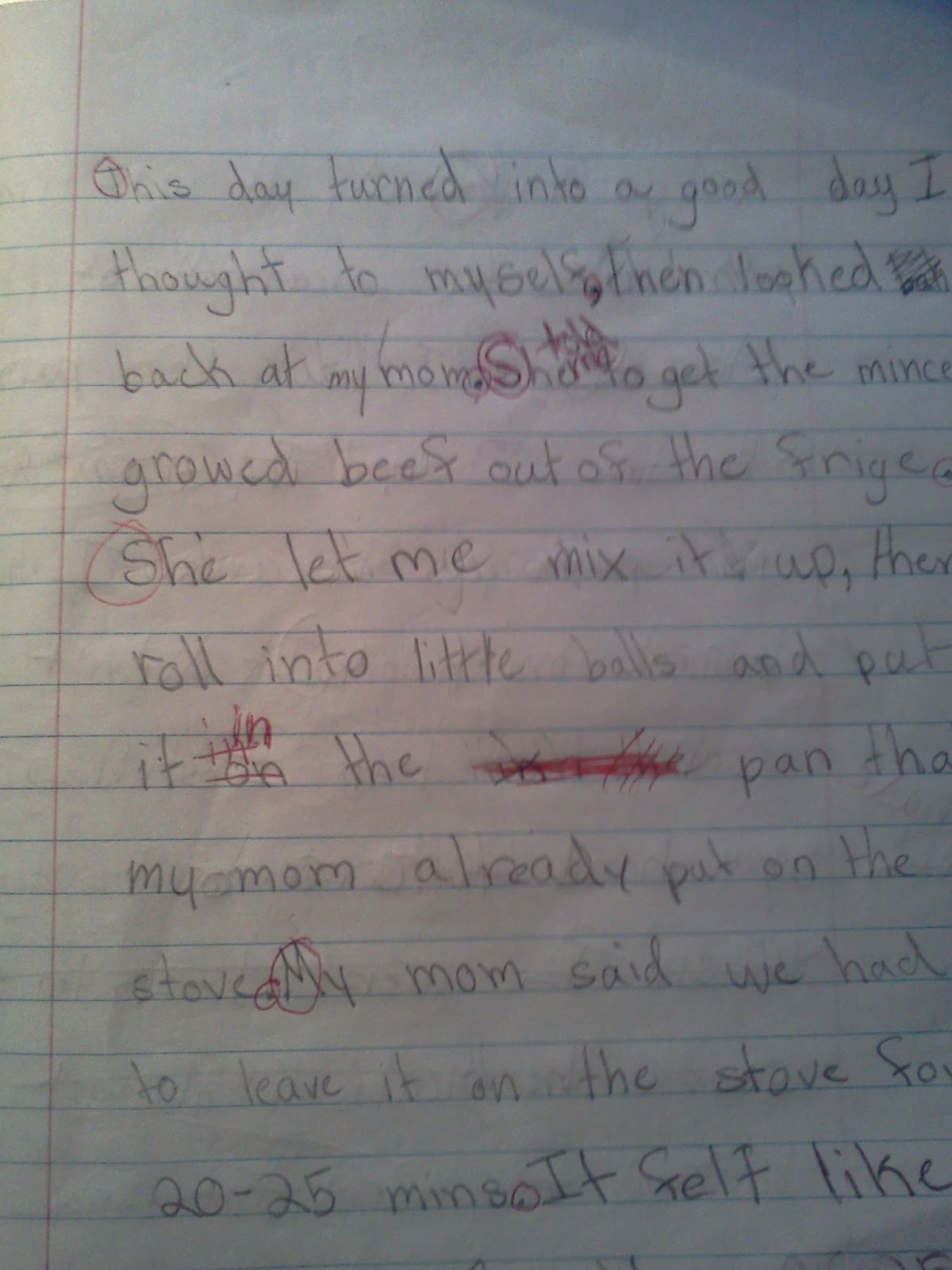 The Lollipop Literacy League: Writing Checkpoint 1: Memoir ...