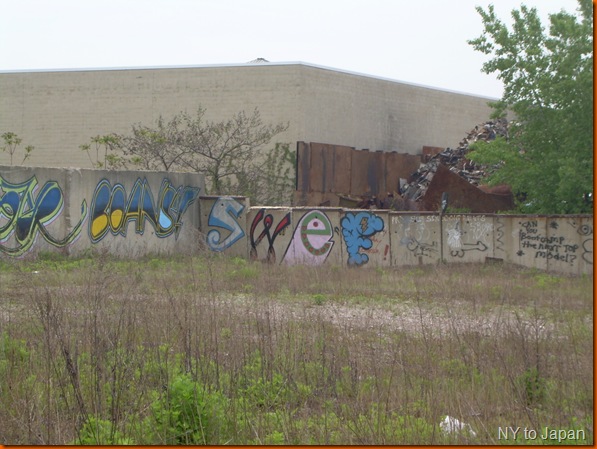 DSCN0268
