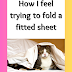 Funny Cat Memes - Know How to Fold the sheet