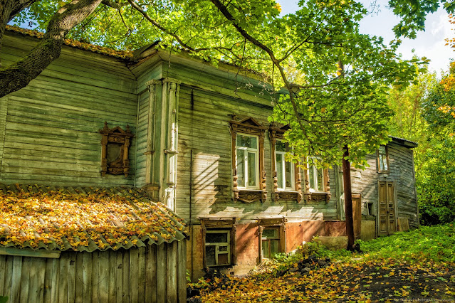 Старое деревянное здание покрытое осенней листвой