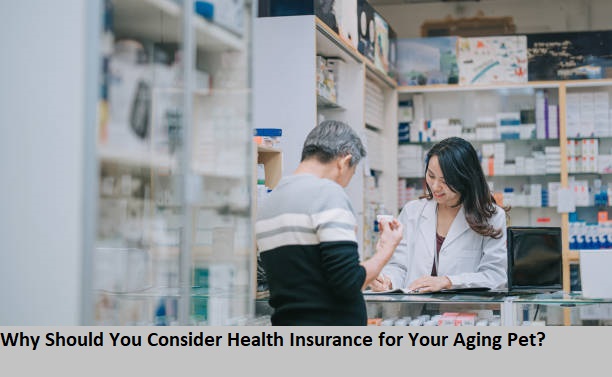 Why Should You Consider Health Insurance for Your Aging Pet?