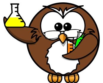 Teaching Aids: Cute Owls - Kickstory.net