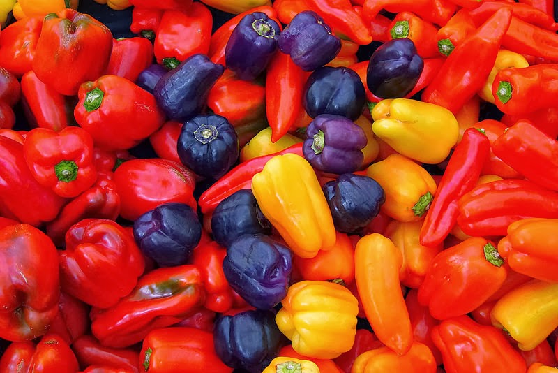 Capsicum annuum. Fuente: Wikipedia