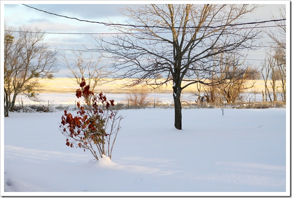 H snow
