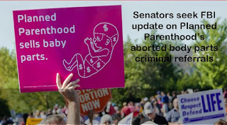 Senators seek FBI update on Planned Parenthood’s aborted body parts criminal referrals