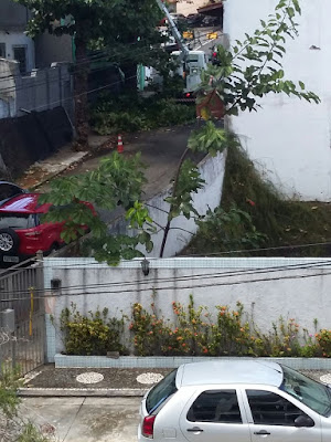 Coelba retira galhas de árvores que ameaçavam cair na Rua Maracás 