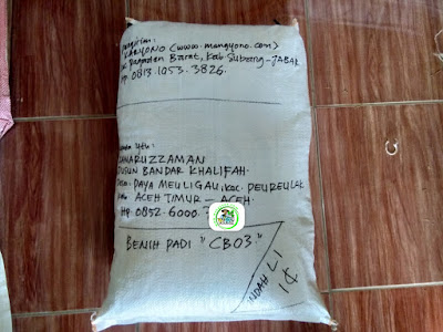Benih Padi Pesanan  KAMARUZZAMAN Aceh Timur, Aceh.  (Sesudah di Packing)