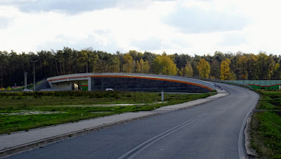 Zdjęcie: