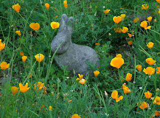 Bunny Sculpture in Informal Garden