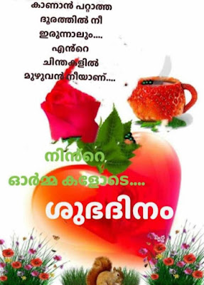 Malayalam Love Whatsapp Status