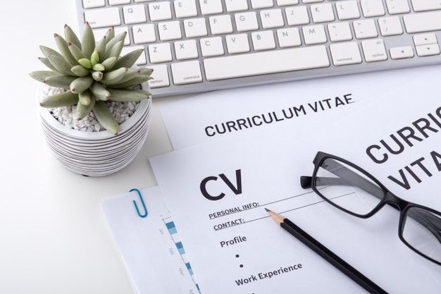 Cara Membuat CV Menarik untuk Mahasiswa