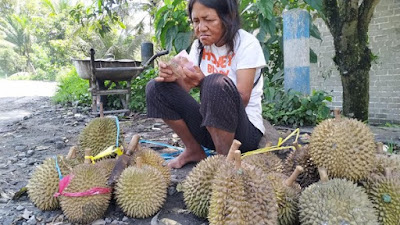 Kisah Penjual Durian Difabel Ditipu Uang Palsu, Kumpuli Modal Dari Memulung