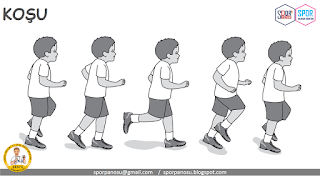   lokomotor, non lokomotor, permainan lokomotor, contoh lokomotor, what is locomotor, kardiovaskular