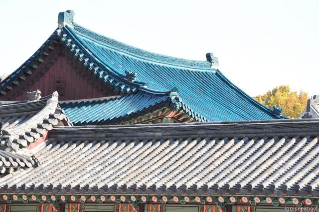 Changdeokgung - Specially imported tiles from Italy