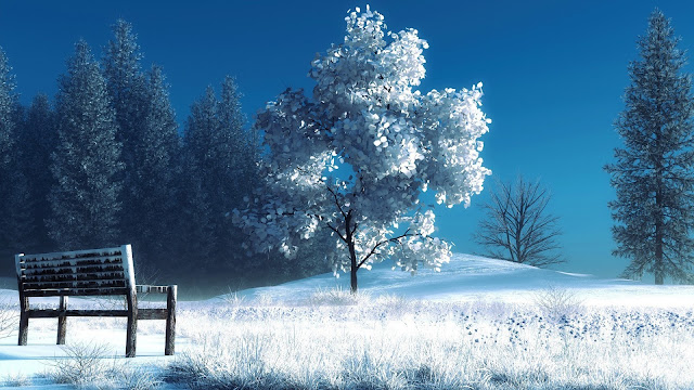 Art Photography Winter Snow Trees Bench HD Wallpaper