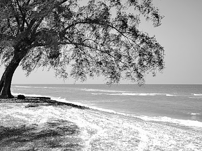 M.Zuiko Digital 14-42mm f/3.5~5.6 EZ, Quiet On The Beach 04