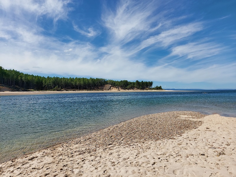 View of Culbin sands and forest from Findhorn beach