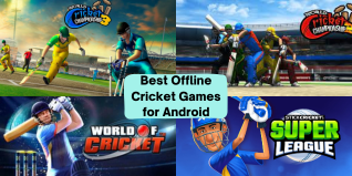 Best Offline Cricket Games for Android