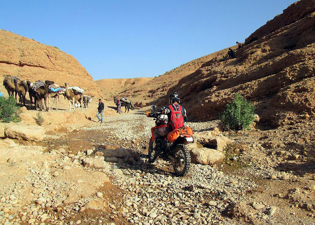 DRZ400. Trail Forever por el Atlas Marroquí. Dia 4