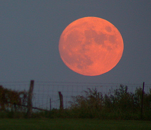 http://www.research.utoronto.ca/harvest-moon/