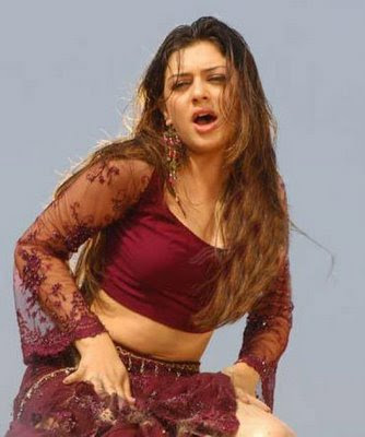 hansika wallpaper. hansika wallpaper.