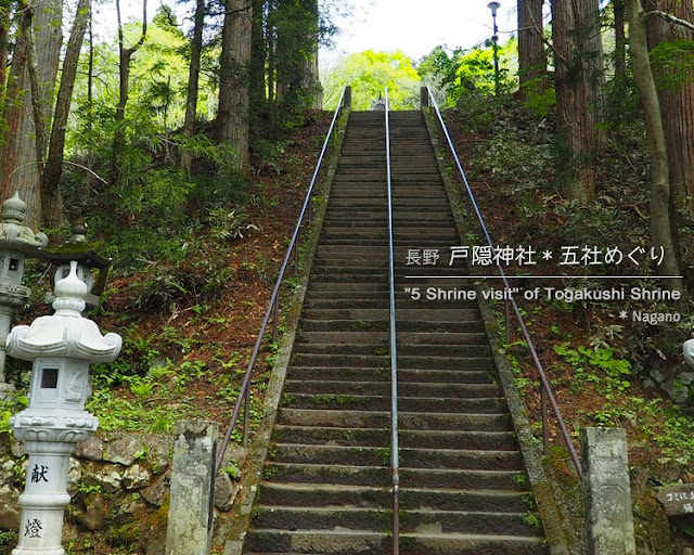 戸隠神社･中社