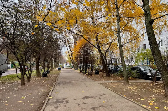 Долгопрудный, Парковая улица