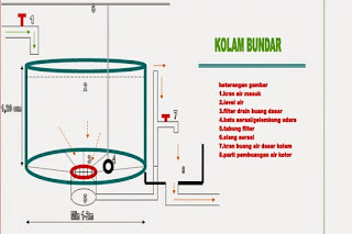 cara membuat air bioflok,persiapan air kolam bioflok,cara membuat air bioflok