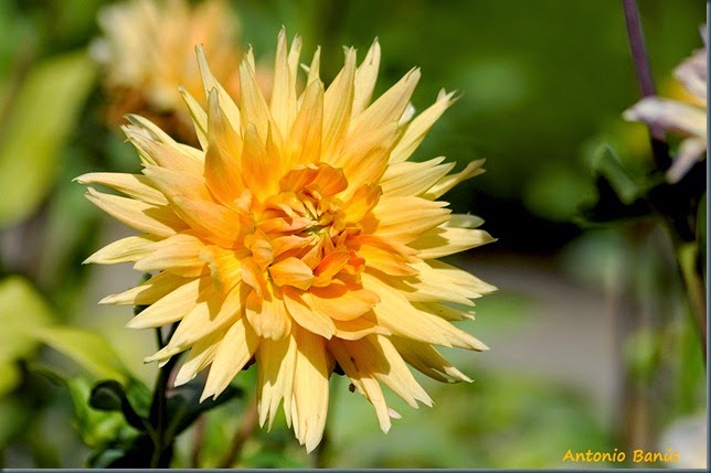 5_DSC4967x1