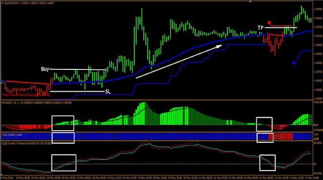 Forex Lion Trading Strategy