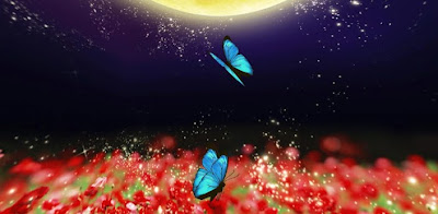 Butterfly under the moon v1.0.0 Apk Live Wallpaper