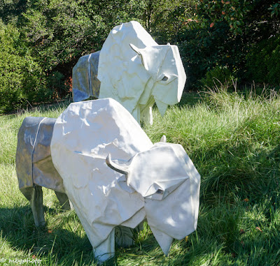Origami in the Garden: White Bison photo by mbgphoto