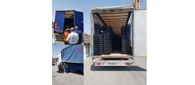 15 Syrian nationals hidden in truck in Famagusta arrested