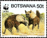 Hyaena brunnea