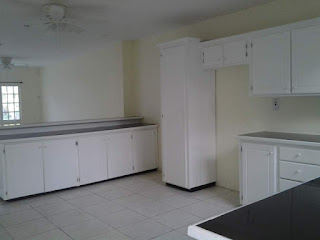 st ann's townhouse for sale - kitchen