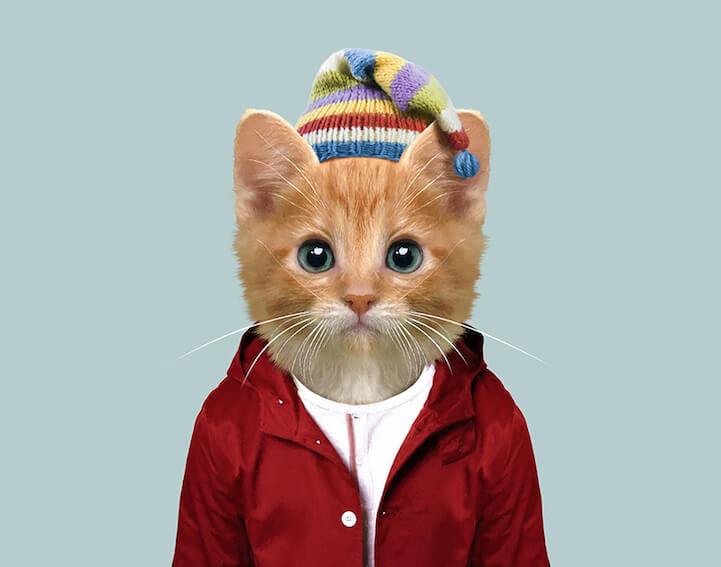 36 Adorable Portraits Of Baby Animals Dressed Like Humans