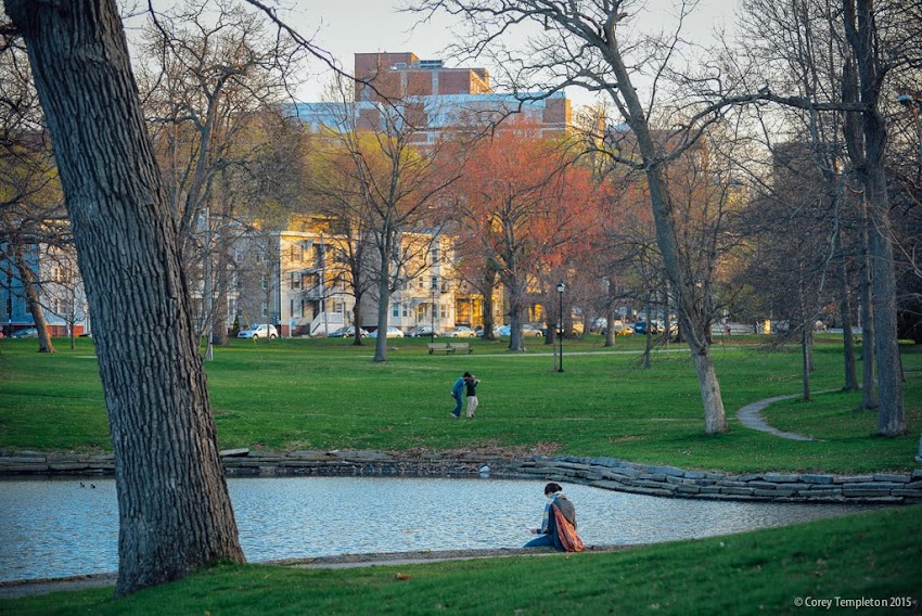 Deering Oaks Park in Portland, Maine. Spring May 2015 photo by Corey Templeton.